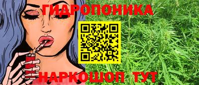 крисы Пушкино