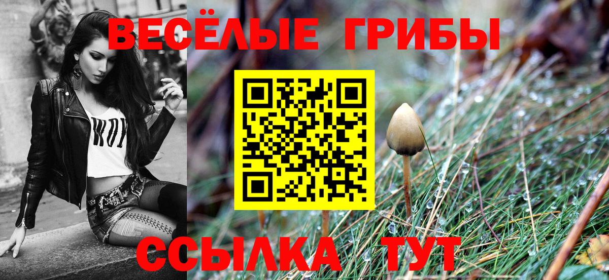 Галлюциногенные грибы Magic Shrooms Ревда