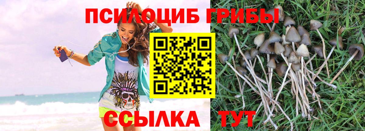 Галлюциногенные грибы мицелий  Галлюциногенные грибы мицелий  Ревда  Вход с VPN 