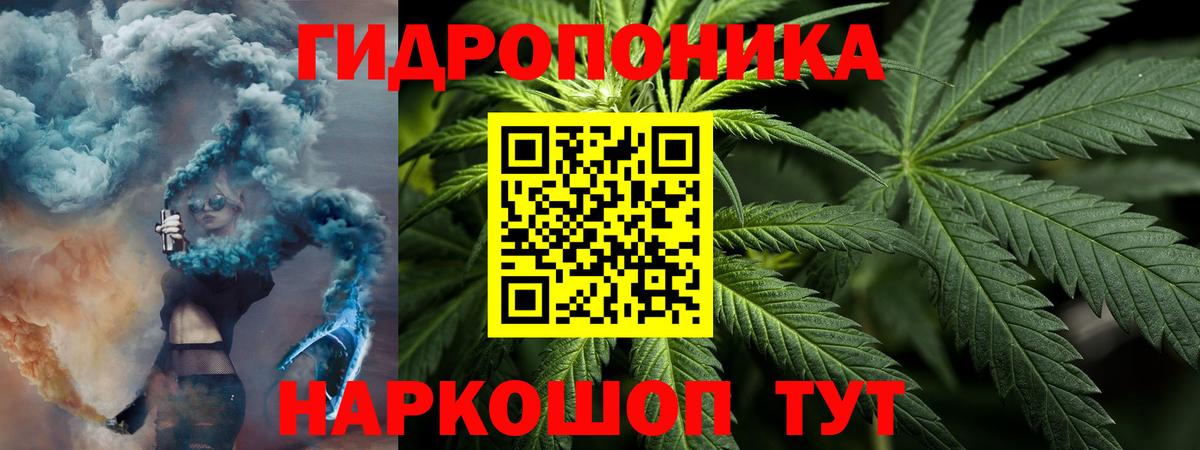Бошки Шишки марихуана Ревда